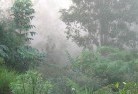 Rosellalandscaping-irrigation-4.jpg; ?>